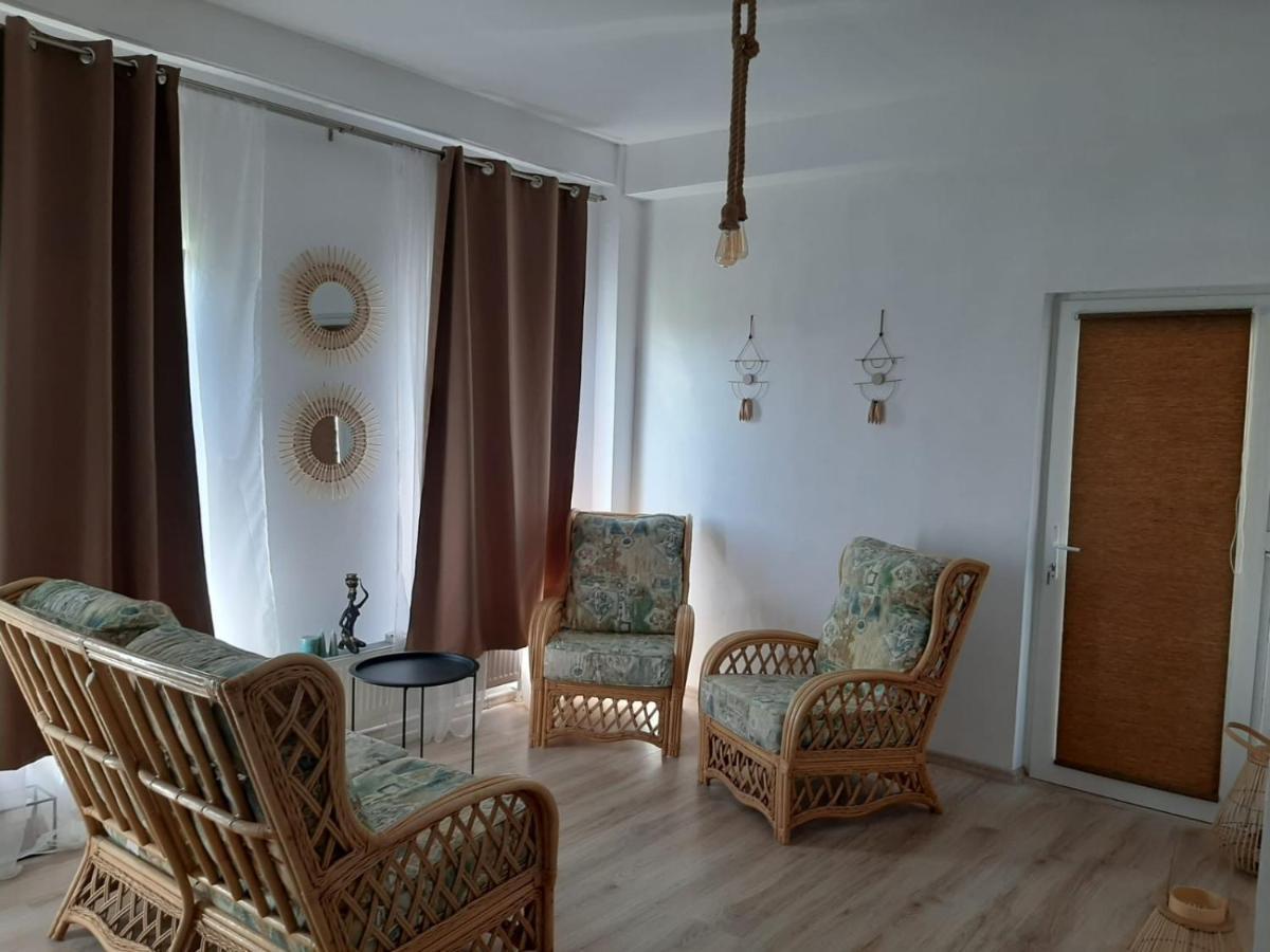Tina Guest House Basarabi 外观 照片